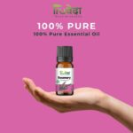 Hand holding a 15ml bottle of Truveda pure rosemary essential oil, ideal for aromatherapy, hair care, and skin wellness